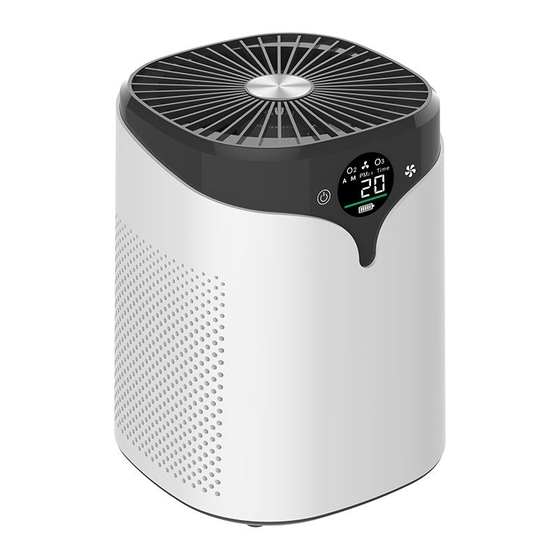 Purifier Formaldehyde Removal Negative Odor Ozone